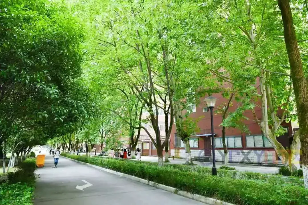 篮球训练心得体会400字左右_1